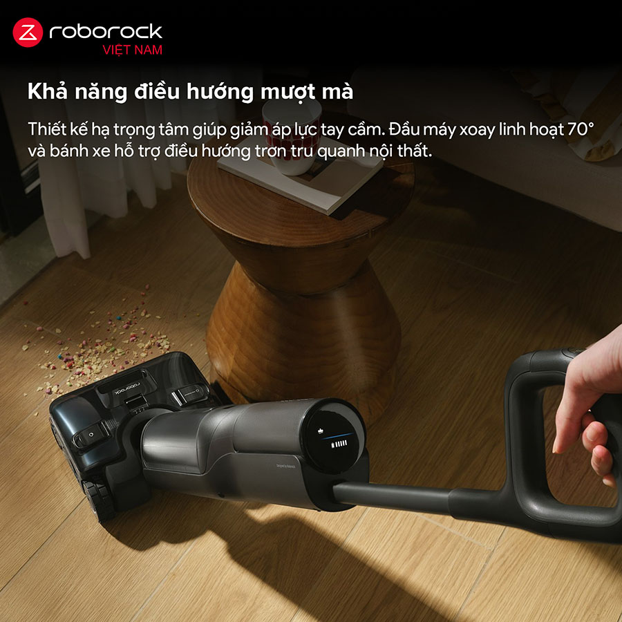 Roborock F25 Steam